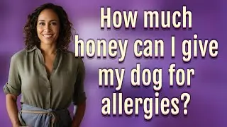 How much honey can I give my dog for allergies?