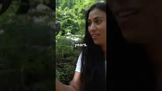 Amazing Parrot Facts in 60 Seconds #naturelovers #animals #animalkingdom #wildlife