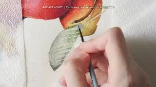 Watercolor Pear Leaf | Realistic Painting by Yuligenna