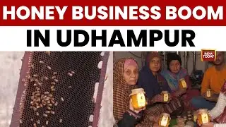 Young Entrepreneur Sets Up Advanced Honey Processing Unit in Udhampur, J&K | HADP Support