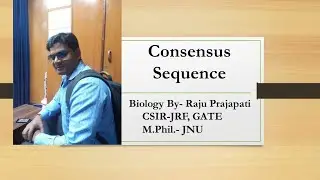 Consensus sequences in DNA/RNA
