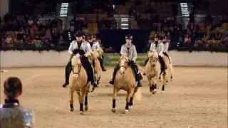 Super Trouper - Schaubild der Haflingerquadrille