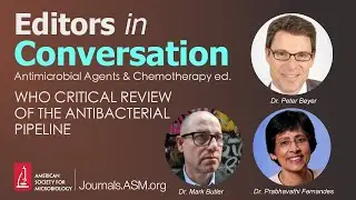 WHO Critical Review of the Antibacterial Pipeline