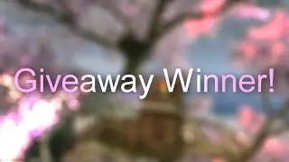 SSO-Giveaway Results Winner!