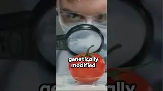 #scientists #scientistsofinstagram #scientistswhoselfie #wearescientists #madscientists