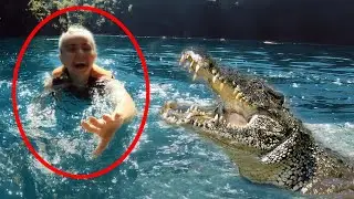Why You Should Avoid Deadly Crocodiles!