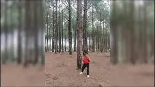 Nature never goes out of style