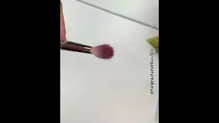 Deep Brush Cleanser