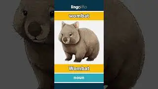 🇬🇧🇩🇪 wombat - Wombat : learn English : Lernen wir Englisch : vocabulary builder