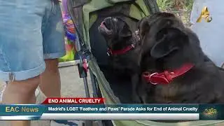 Madrid's LGBTQ+ Community Ask End of Animal Cruelty With 'Feathers and Paws' Parade