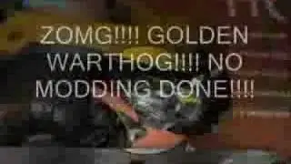 Golden Warthog, NO MOD!