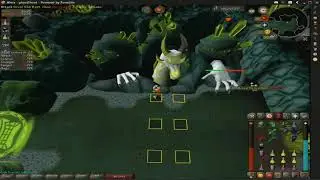 Alora RSPS Solo Olm Guide