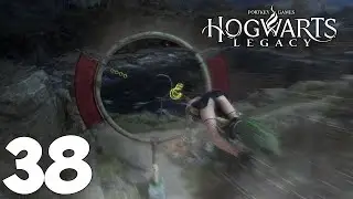 Hogwarts Legacy. Прохождение. Часть 38 (Имельда Рейес. Натсай Онай собирает доказательства)
