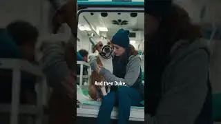 Dog Saved Owner From Crazy Man On The Street
