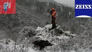 Battue extr&ecirc;me et moments fous💥Chasse au sanglier en Corse 🔥 