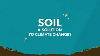 Let&rsquo;s be honest about the state of our soils | #WorldSoilDay