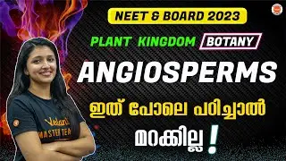 What are Angiosperms? | Plant Kingdom (Part 5) | Plus One Biology | NEET | Vedantu Malayalam