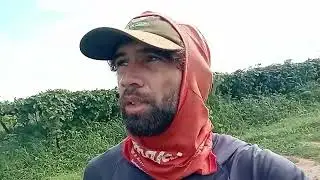 T.1 - EP.29 Limpeza da melancia e Aplicação de dormex na uva 