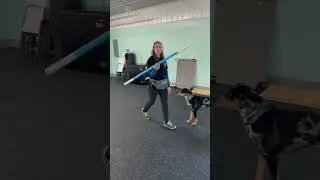 The SECRET to Teaching Your Dog to JUMP