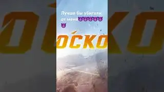 Жы ши