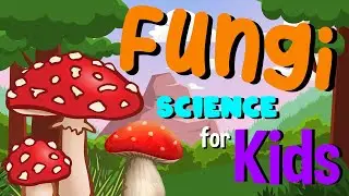 Fungi | Science for Kids