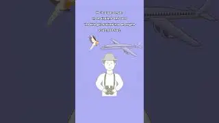 Lateral Thinking Puzzle (3)