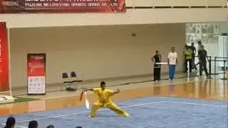 9th Panamerican Wushu Championship M&eacute;xico 2012. Dante Gamboa MEX DS Group B