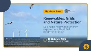 High-Level Panel on Renewables, Grids, and Nature Protection | 2025 IUCN World Conservation Congress