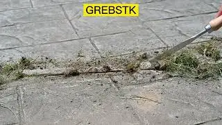 Best Crack Weeder for Pulling Weeds From Your Patio/Driveway---grebstk