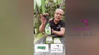 Defensivos e eliminação de pragas