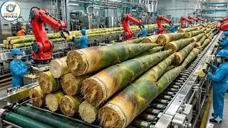 Inside the 500,000 LB Bamboo Shoot Plant &ndash; The TERRIFYING Peeling of Modern Gourmet Production