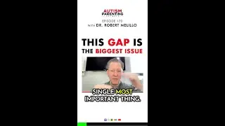 This Gap Is The Biggest Issue in The Autistic Brain