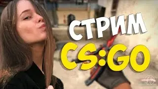 Вика Писарева ответила на мой комментарий во время стрима...