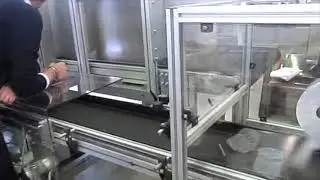 Vertical Bagger & Weigher for Cereals with Cartoner & Case Packer