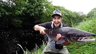 2017 - Irlande - Buffalo Fly Fishing Society