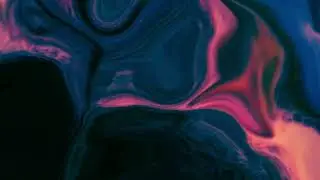 Duke Boara – Focus (Visualiser)