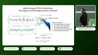 Dr. Jean-Marc Lina | Fractional Wavelet Processing for EEG Signal Decoding: Methods and Applicat...