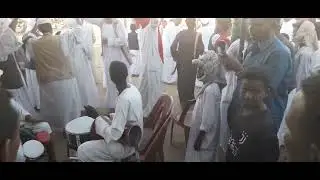 عبدالواحد الباوقه زواج اولاد تاج السر عمر وحزيفه