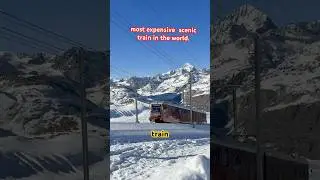 Gornergrat the most expensive senic short distance train #travel #trending #ytshorts #switzerland