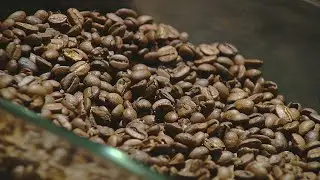 Try world-class brews and be wowed by latte art at the Cincinnati Coffee Festival