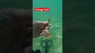 I Found Vintage Fork underwater with my Metal Detector #beachdetecting #fishing #underwatertreasure