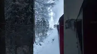 Harz Nationalpark - Germany 🇩🇪