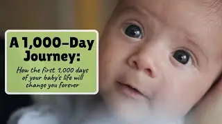 A 1,000-Day Journey: How the first 1,000 days of your child's life will change you forever