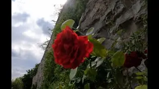 A short trip through Stromberg  ( near Oelde )