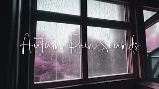 10 Hours Of Dark Screen Autumn Rain For Sleeping