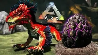 What Do Baby Rock Drake&lsquo;s Eat and How to get it
