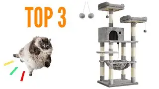 🟢 TOP 3 : Meilleur Arbre &agrave; Chat 2023