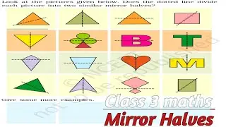 class 3 maths || Mirror halves || Divide the picture into two