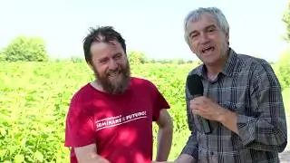 ISOLA DELLA SCALA: LA VIA VERONESE ALL' AGRICOLTURA PULITA