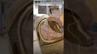 liquid vs tyloo m3 inferno POV ultimate 20251208 034623 012 14